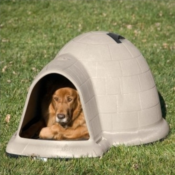 medium igloo dog house