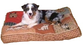 Petmate Quilted Novelty Dog Bed